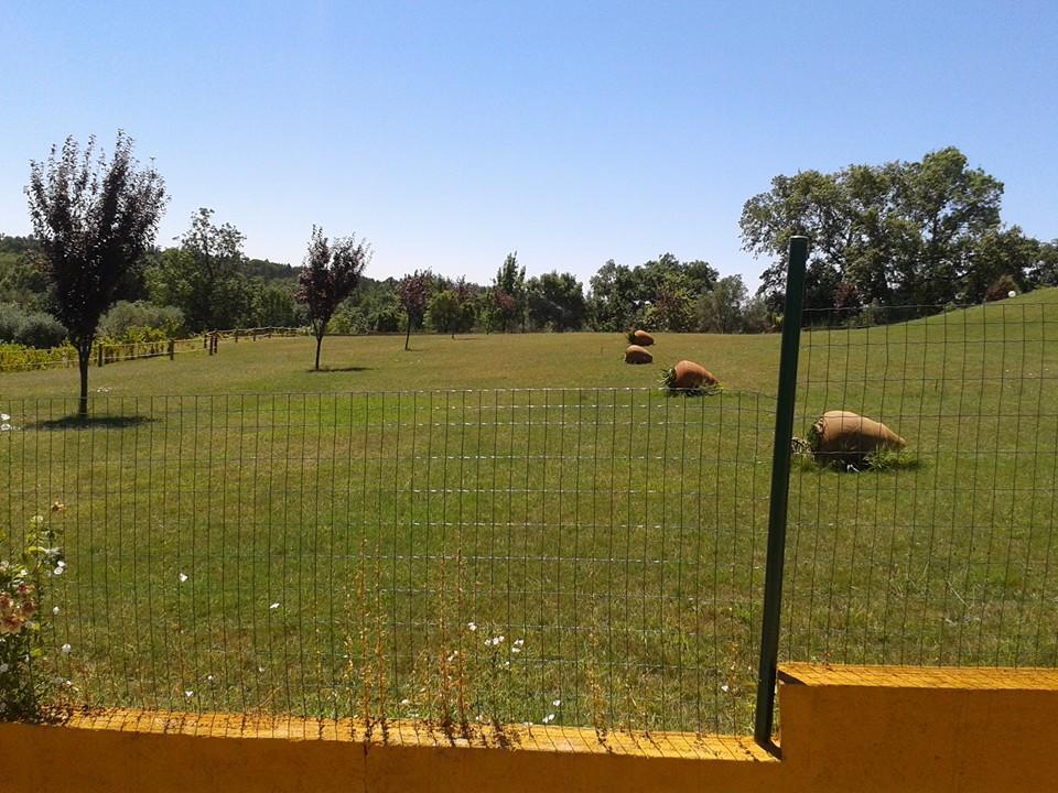 Вилла Quinta Da Mina Монсанту Экстерьер фото
