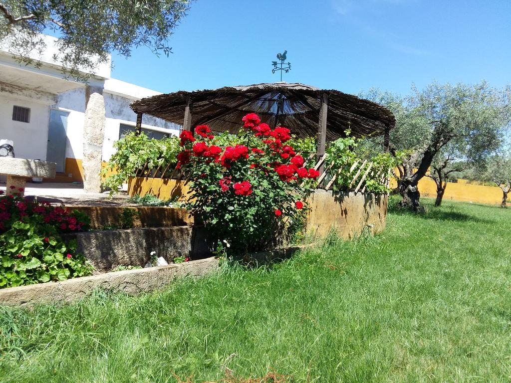 Вилла Quinta Da Mina Монсанту Экстерьер фото
